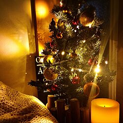 リビング/クリスマスツリー/ライト照明/ソファーのインテリア実例 - 2016-12-05 02:54:12