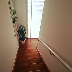 玄関/入り口/階段/ウッドブラインドのインテリア実例 - 2017-03-13 13:02:26