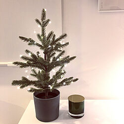 クリスマスツリー/ジュエリーライト/ごちゃごちゃ嫌い/ミニマム/IKEA...などのインテリア実例 - 2020-11-18 12:45:55