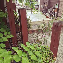 庭/玄関/入り口のインテリア実例 - 2017-05-12 22:50:43