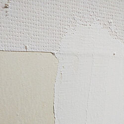 壁/天井/壁面DIY/漆喰/ひとりで塗れるもん/猫ちゃんのお部屋...などのインテリア実例 - 2021-02-20 19:17:34