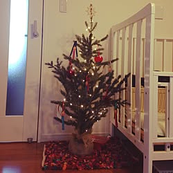 リビング/クリスマスツリーのインテリア実例 - 2016-12-18 15:59:03