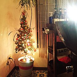 壁/天井/電球/うぉーるステッカー/クリスマスツリーのインテリア実例 - 2016-11-29 17:12:04