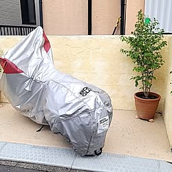 玄関/入り口/ガレージDIY/セルフリフォーム/漆喰壁DIY/建て売り一戸建て...などのインテリア実例 - 2023-12-05 21:13:41