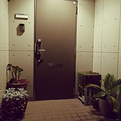 玄関/入り口/観葉植物/アンティーク/DIY/植物...などのインテリア実例 - 2016-12-20 18:06:39