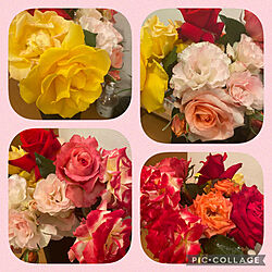 春/薔薇/花/癒しの空間のインテリア実例 - 2021-04-29 20:50:15