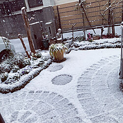 部屋全体/予報ではお昼から雪が午前中から降雪/東京・人気観光地にも“降雪“/関東で大雪警戒！/注文住宅...などのインテリア実例 - 2024-02-05 16:00:20
