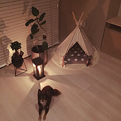 ベッド周り/TEEPEE TENT/ランタン/IKEA/北欧...などのインテリア実例 - 2017-10-16 21:43:10