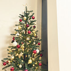 ニトリ/クリスマスツリー/IKEA/雑貨/リビングのインテリア実例 - 2020-12-13 18:03:54