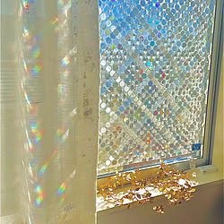 窓/homein/壁/天井のインテリア実例 - 2022-02-08 13:21:39
