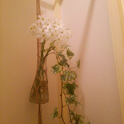 バス/トイレ/花のある暮らし/植物のある部屋/植物のある暮らし/植物のある生活...などのインテリア実例 - 2017-03-11 11:08:01