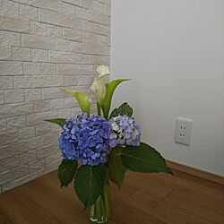 リビング/カラー/紫陽花のインテリア実例 - 2023-07-04 11:11:39
