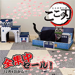 部屋全体/吸着マット/ねこのいる風景/ねこと共同生活。/タイルラグ...などのインテリア実例 - 2020-12-03 14:02:02