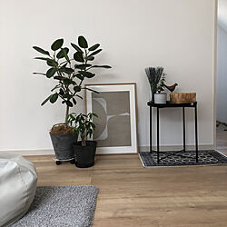 IKEA/アートストーン鉢/ハナロロ/ビーズクッション/植物のある暮らし...などのインテリア実例 - 2021-03-31 11:48:51