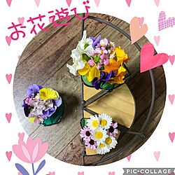 花瓶♡/花瓶のお花/お庭の花達/花のある暮らしを楽しむ/お庭...などのインテリア実例 - 2022-03-26 15:05:26