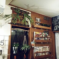 壁/天井/本棚DIY/黒板壁DIY/DIY/nanakoちゃんのプラントハンガー...などのインテリア実例 - 2016-01-17 22:52:25