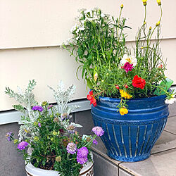 花/寄せ植え/庭づくり/庭DIY/庭...などのインテリア実例 - 2020-05-09 20:57:08