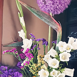 リビング/買ったお花/畑のお花/お花/お花のある暮らし...などのインテリア実例 - 2019-06-07 13:02:30