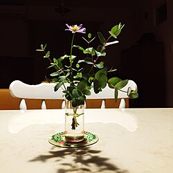 机/大理石テーブル/ジャーナルスタンダードのテーブル/庭の花/ペンキ塗りした椅子...などのインテリア実例 - 2017-05-13 01:05:54