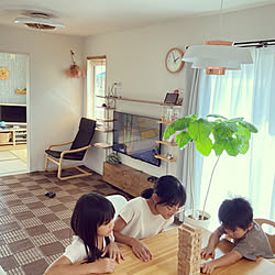 サーキュライト/おうち時間を楽しむ/ウンベラータ/DIY/部屋全体のインテリア実例 - 2021-09-19 16:36:11