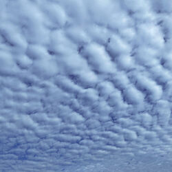 雲のインテリア実例 - 2021-09-28 20:15:38