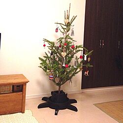 リビング/クリスマスツリー/IKEAのインテリア実例 - 2013-11-23 00:42:44