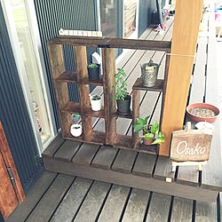 玄関/入り口/多肉植物/DIYのインテリア実例 - 2016-08-27 21:57:40