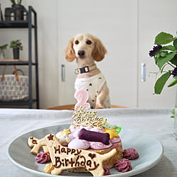 犬と暮らす/Happy Birthday/暮らしを楽しむ/植物のある暮らし/いいね、フォロー本当に感謝デス☺︎...などのインテリア実例 - 2019-05-12 23:03:22