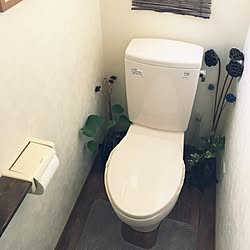 バス/トイレのインテリア実例 - 2017-07-14 10:35:18