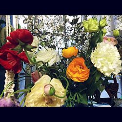 リビング/花のインテリア実例 - 2015-04-07 17:34:00
