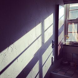 壁/天井/塗り壁/朝陽/洗面所のインテリア実例 - 2014-03-17 08:21:45