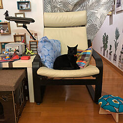 ミニチュアディスプレイ/IKEAの椅子と机/ねこのいる風景/黒猫ミースケ/リビング...などのインテリア実例 - 2021-09-27 22:09:06