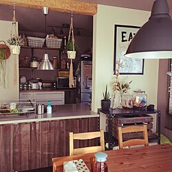 キッチン/DIY/IKEA/観葉植物/ニトリのインテリア実例 - 2017-01-30 15:28:50