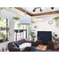 リビング/IKEA 照明/漆喰壁DIY/植物と暮らす/中古住宅...などのインテリア実例 - 2017-05-09 11:26:37