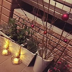 玄関/入り口/LEDキャンドル/セリア/グリーンのある暮らし/クリスマス...などのインテリア実例 - 2015-12-11 00:45:33