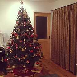 リビング/クリスマスツリーのインテリア実例 - 2015-12-19 20:37:05