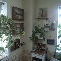 壁/天井/DIY/植物のインテリア実例 - 2013-08-10 12:09:42