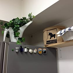 キッチン/冷蔵庫上/冷蔵庫のマグネット/IKEA/フェイクグリーンのインテリア実例 - 2014-01-17 13:45:13