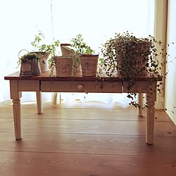 机/植物達のインテリア実例 - 2015-03-26 16:19:16