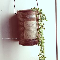 玄関/入り口/リメイク缶/植物のインテリア実例 - 2013-03-14 08:28:34