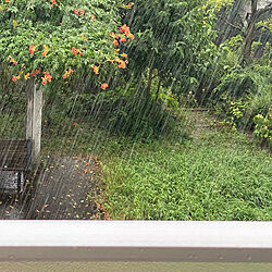 ベランダ/雨の日の風景/大雨/玄関/入り口のインテリア実例 - 2021-08-01 17:02:17