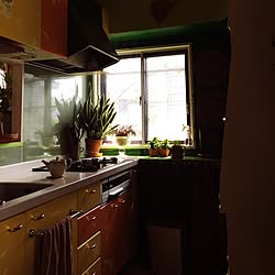 キッチン/出窓風/DIY/ペンキ/カラフルのインテリア実例 - 2015-03-18 10:25:52