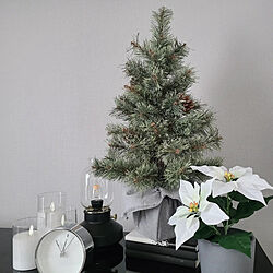 棚/クリスマス/ホワイトインテリア/IKEA/クリスマスツリー60cm...などのインテリア実例 - 2021-11-17 11:50:30