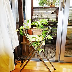 部屋全体/ウッドデッキ/観葉植物/DIY/カフェ風...などのインテリア実例 - 2017-06-26 08:17:10