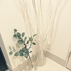 スミッカ/IKEA/玄関/入り口/IKEA造花/造花...などのインテリア実例 - 2023-02-04 13:23:22