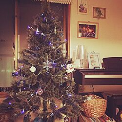 部屋全体/クリスマスツリーのインテリア実例 - 2015-11-19 20:21:24