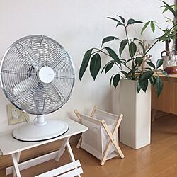 リビング/今日は夏日/テレビボードの横/観葉植物/franfrancの扇風機のインテリア実例 - 2017-06-29 13:00:03
