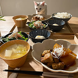 冬の食卓/ねこのいる風景/木の温もり/ねこのいる日常/ねこと暮らす...などのインテリア実例 - 2021-12-10 18:21:00