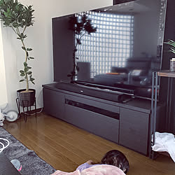 REGZA 65インチ/みなさまに感謝/こどもがいる生活/マンション/テレビ周り...などのインテリア実例 - 2022-05-13 13:47:18