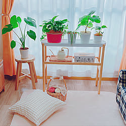 賃貸でも楽しく♪/観葉植物/編み編み大好き♡/みて頂きありがとうございます♡/IKEA...などのインテリア実例 - 2023-01-25 15:40:08